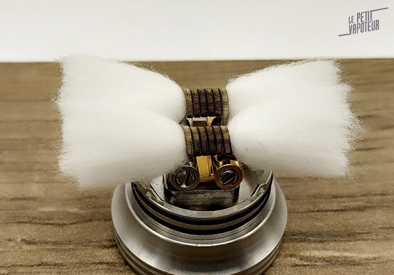 Coton dead rabbit LPV